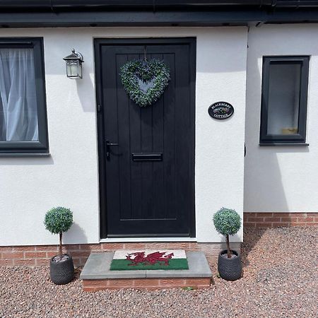 Blackberry Cottage Cardiff Exteriör bild